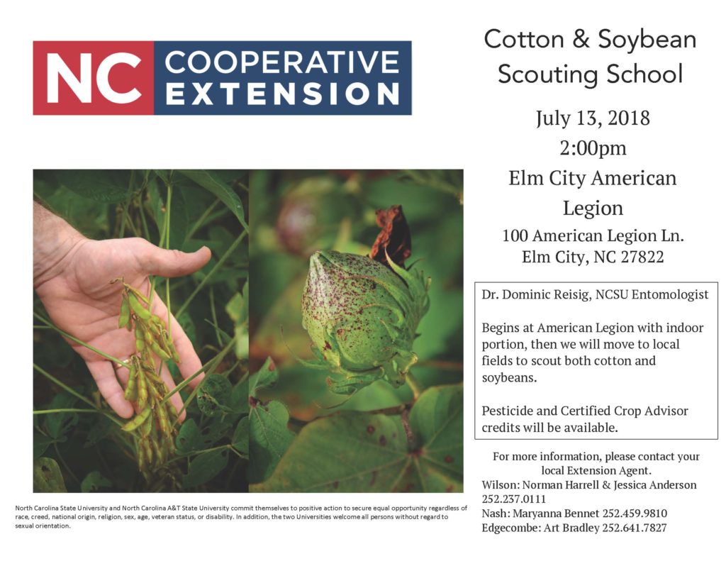 Cotton and Soybean Scouting School flyer image