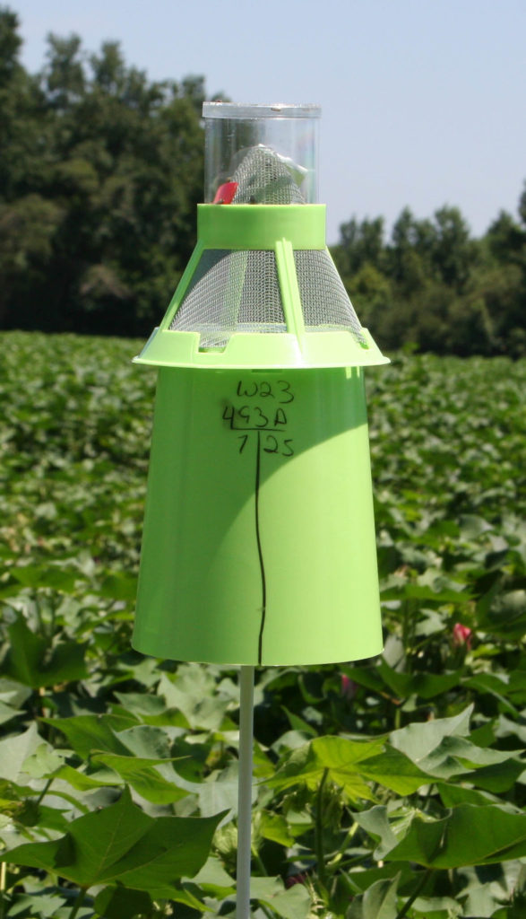 Boll weevil trap