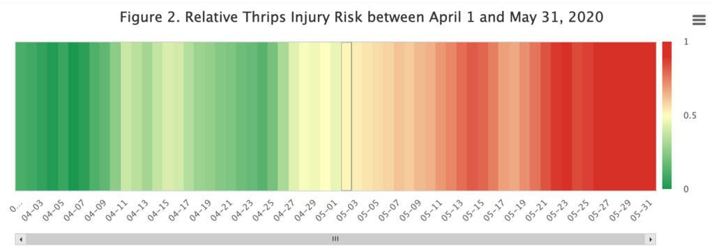Relative thrips injury chart