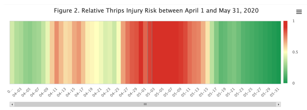 Relative thrips injury risk chart