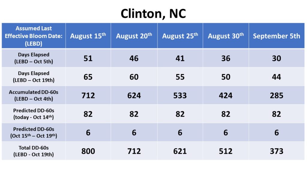 Clinton Bloom Date chart