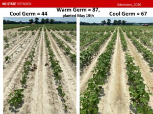 Cover photo for Your Role and Responsibility in Making the NCDA&CS Cotton Seed Quality Testing Program Work to Your Benefit (Collins, Edmisten, Stewart, Wilson, Snyder, & Williams)