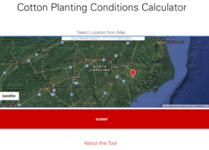 Cover photo for Thoughts on Cotton Planting - Soil Temperatures