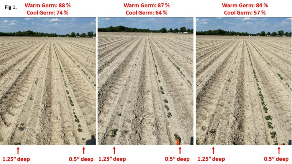 Planting depth chart