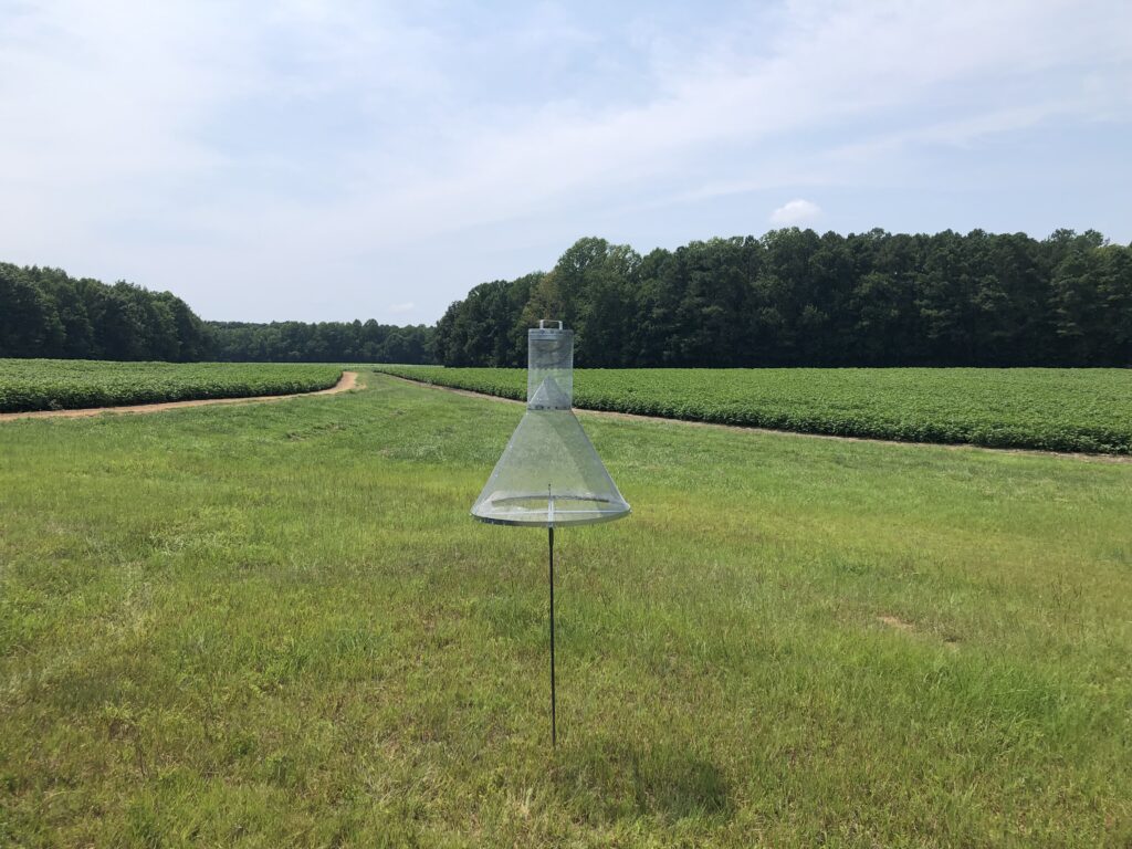 moth trap in field