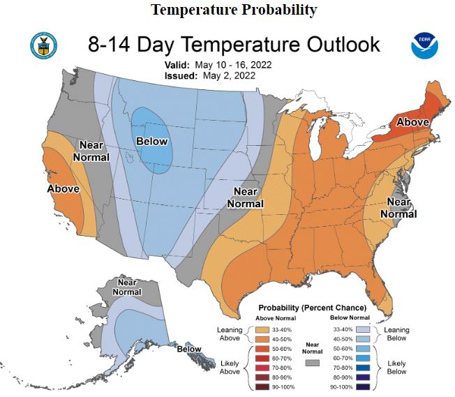 Early planting date usually good for North Carolina cotton