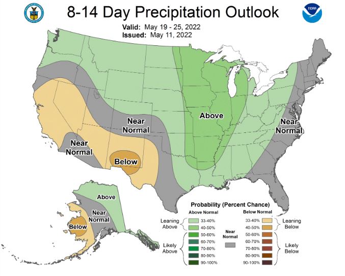 An 8 - 14 day Precipitation Outlook map showing near normal to above precipitation in the South East. 